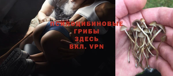 экстази Инсар