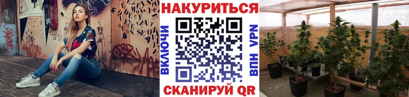 Марихуана THC 21%  Купить закладки  Лысьва 